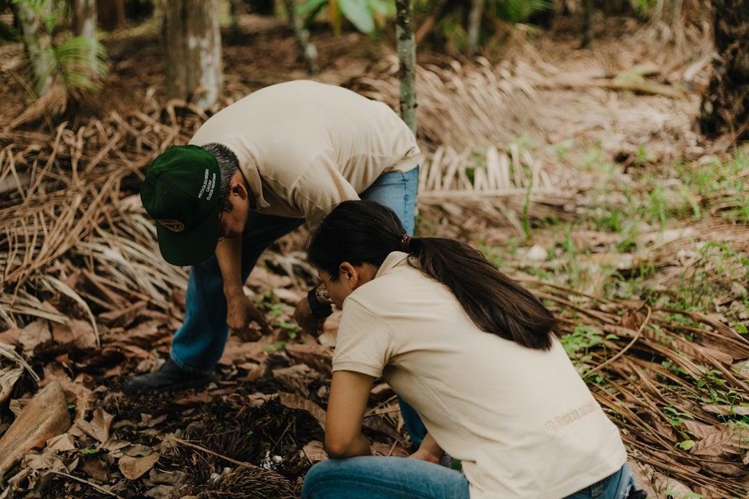 Volunteers planting young trees during a reforestation drive